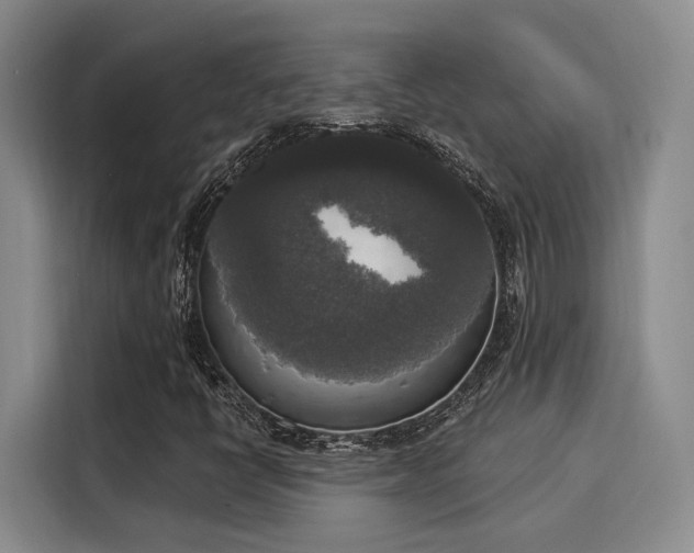 X0000116031398200911271126