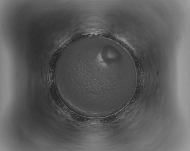 X0000116031399200911271126