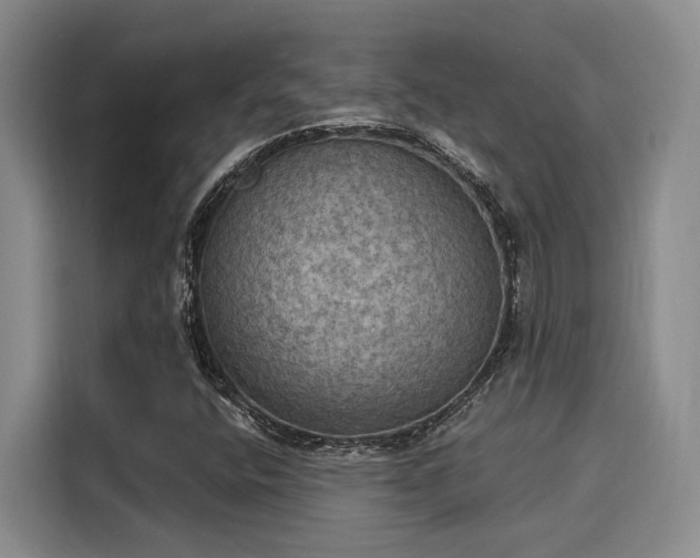 X0000116031400200911271126