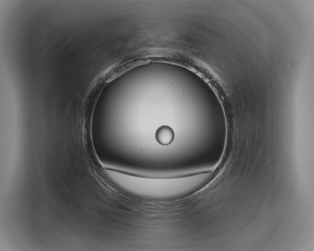 X0000116031403200911271127