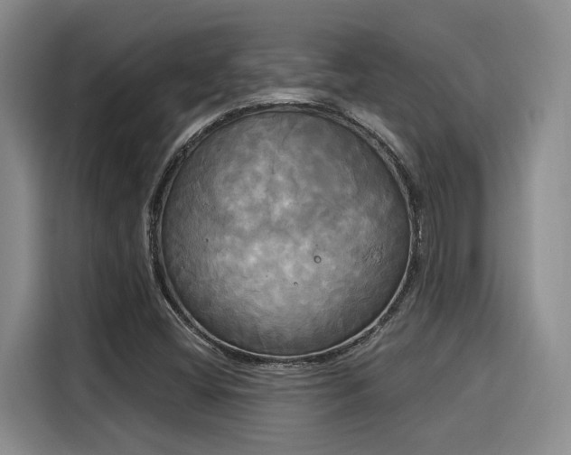 X0000116031404200911271127