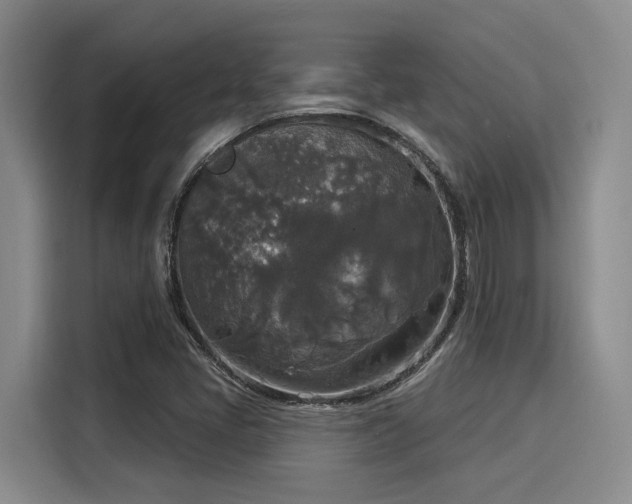 X0000116031405200911271127