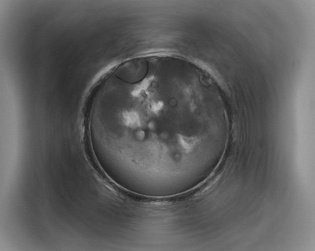 X0000116031406200911271127