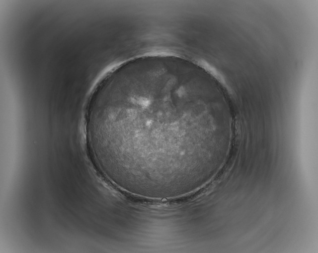 X0000116031408200911271127