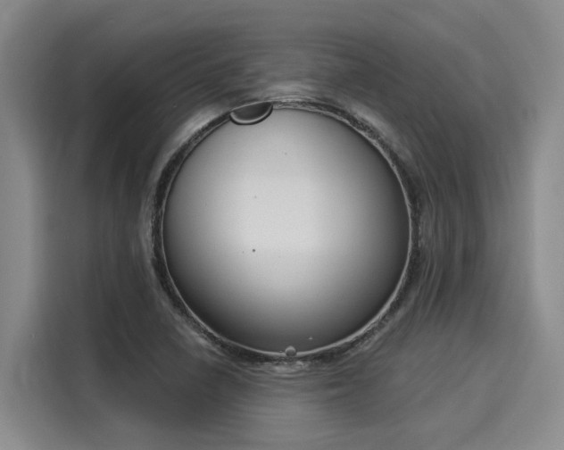 X0000116031410200911271127