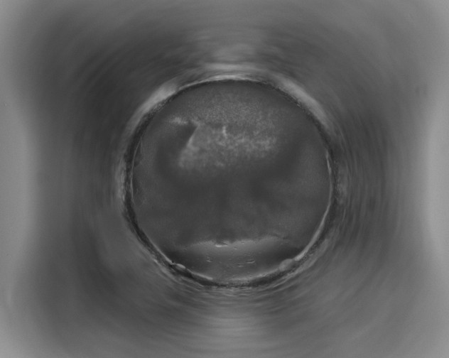 X0000116031411200911271127