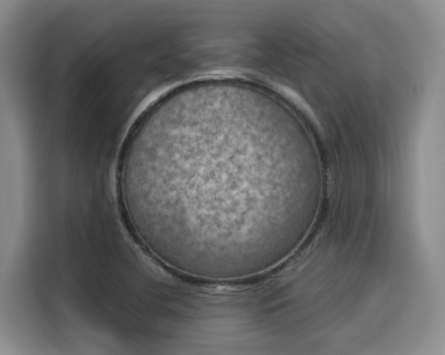 X0000116031412200911271127