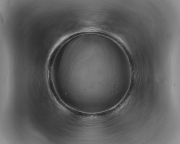 X0000116031414200911271127