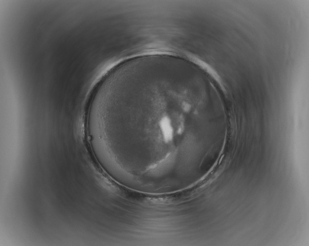 X0000116031415200911271127