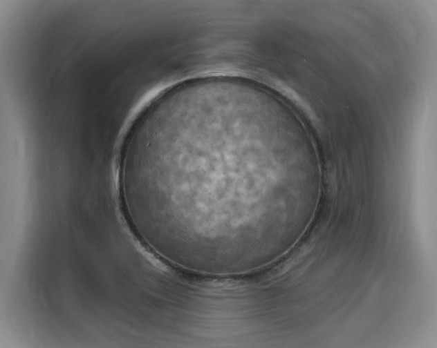 X0000116031416200911271127