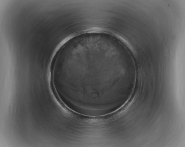 X0000116031418200911271127