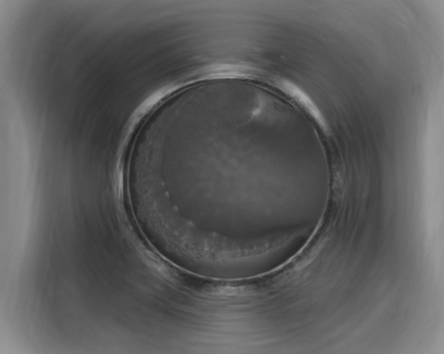 X0000116031419200911271127