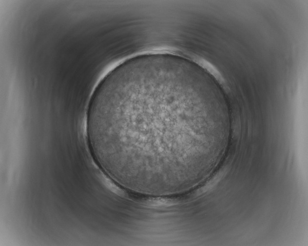 X0000116031420200911271127