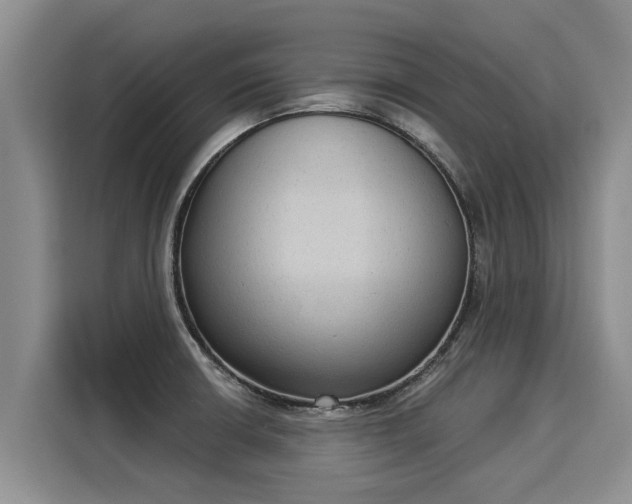 X0000116031426200911271127