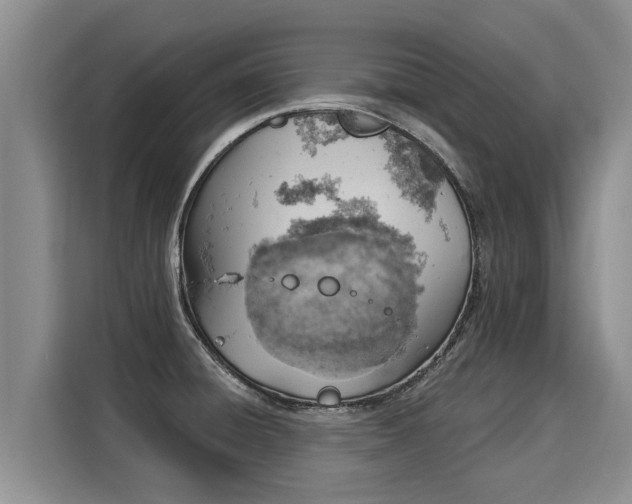 X0000116031428200911271127