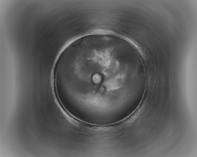 X0000116031430200911271127
