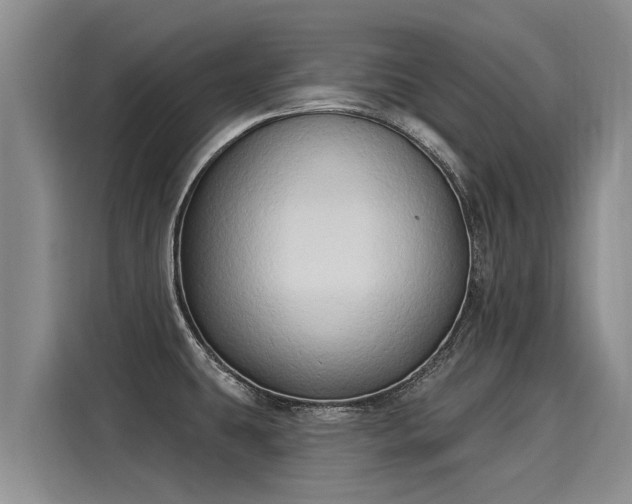 X0000116031431200911271127