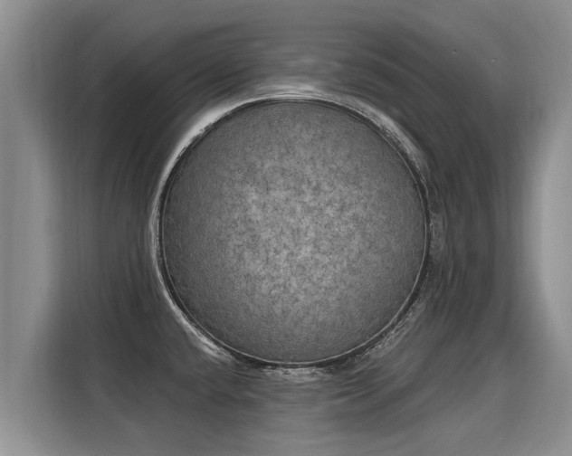 X0000116031432200911271127