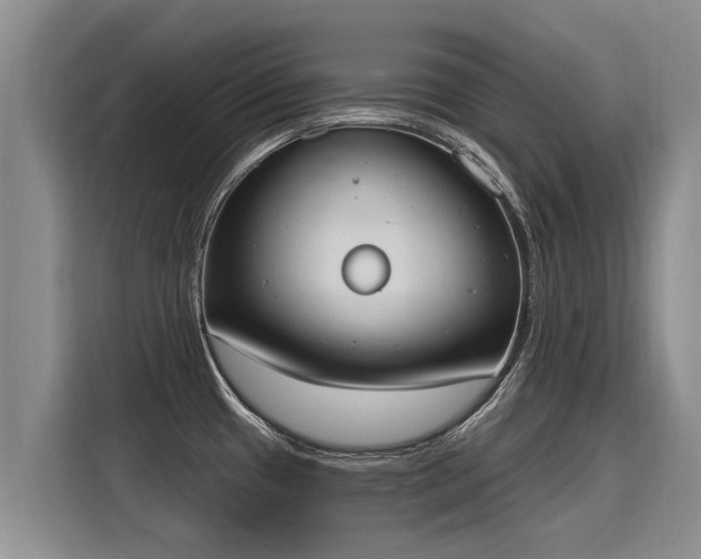 X0000116031433200911271127