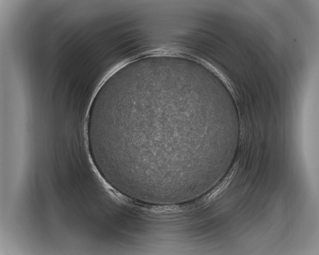 X0000116031434200911271127