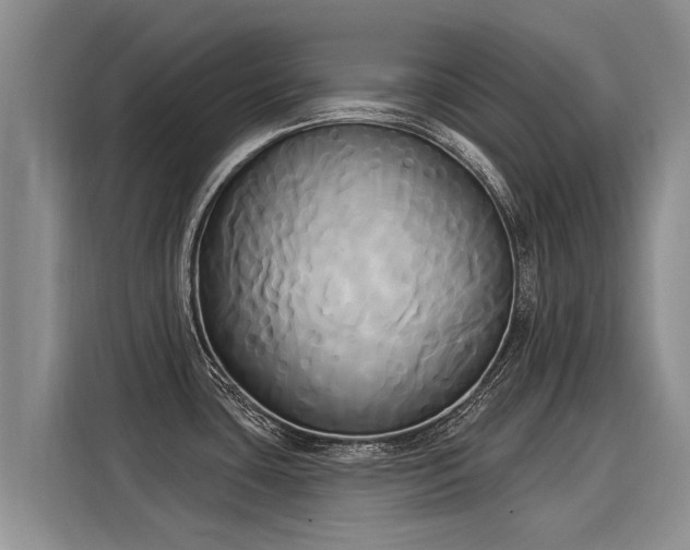 X0000116031435200911271127