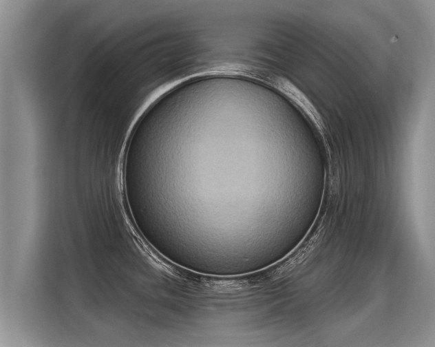 X0000116031436200911271127