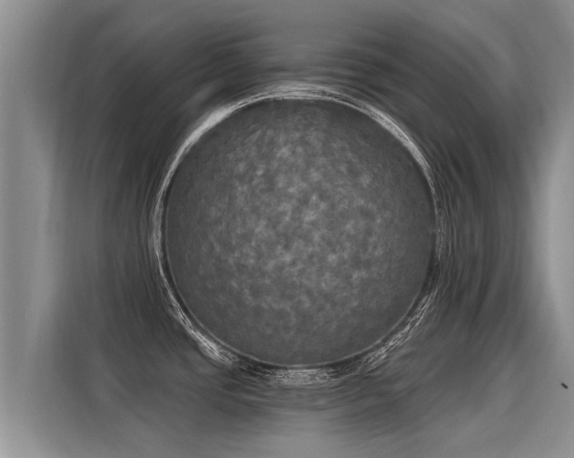 X0000116031437200911271127