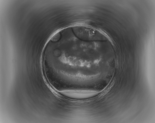 X0000116031438200911271127