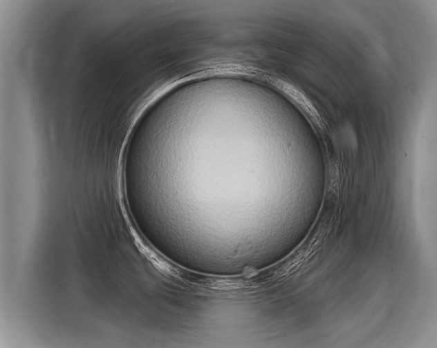 X0000116031439200911271127