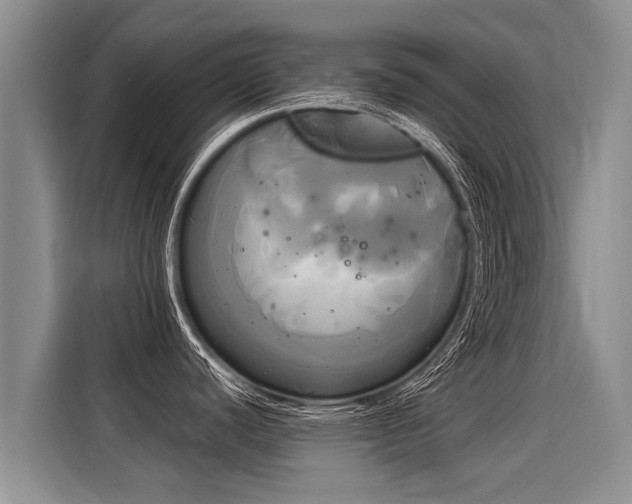 X0000116031440200911271127