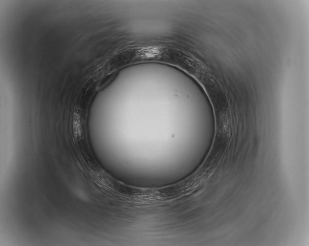 X0000116031442200911271126