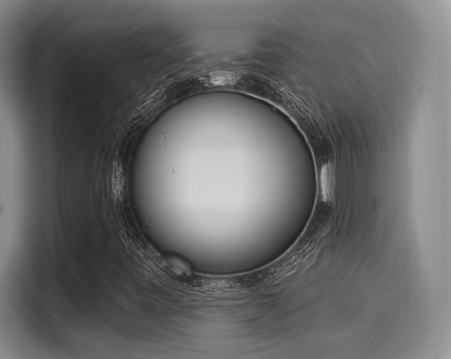 X0000116031443200911271126