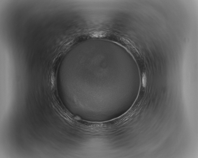 X0000116031444200911271126