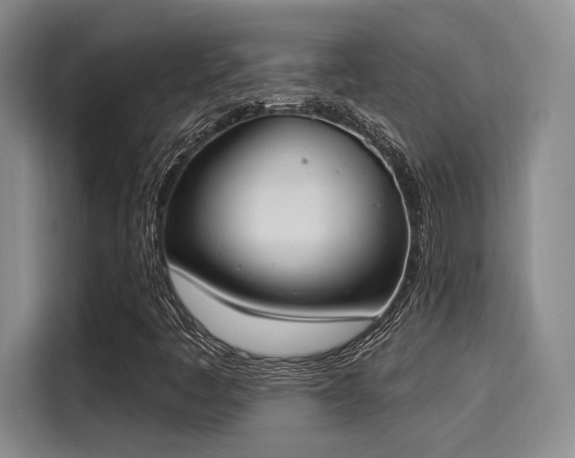 X0000116031445200911271126