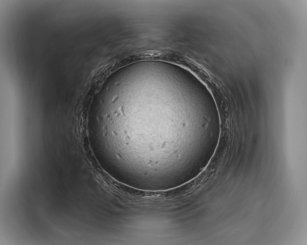 X0000116031447200911271126