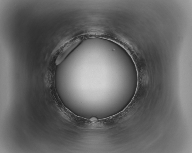 X0000116031448200911271126