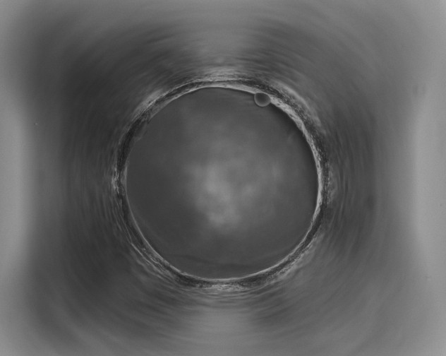 X0000116031449200911271126