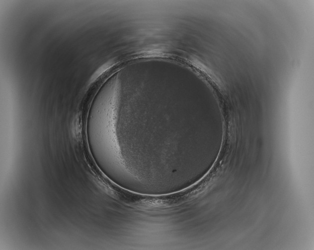 X0000116031450200911271126