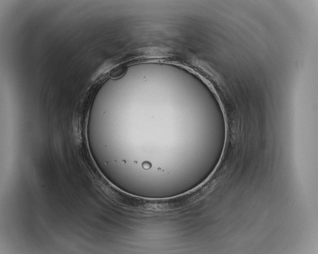 X0000116031451200911271126