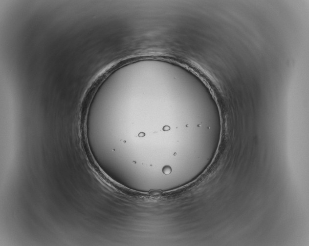X0000116031452200911271126