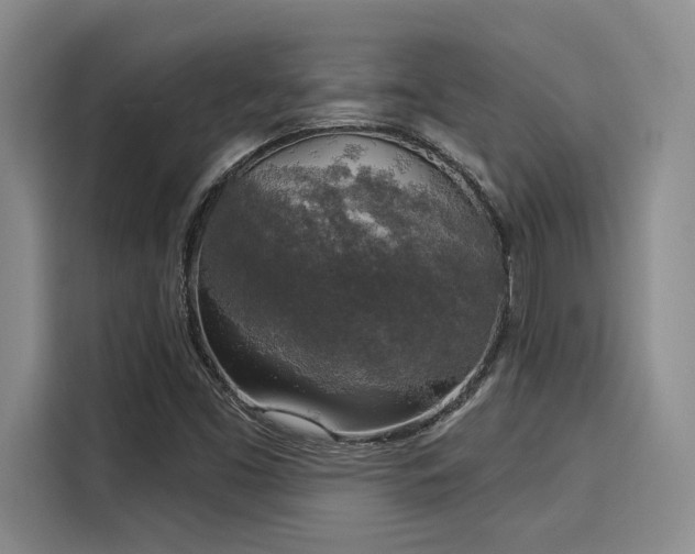 X0000116031453200911271126