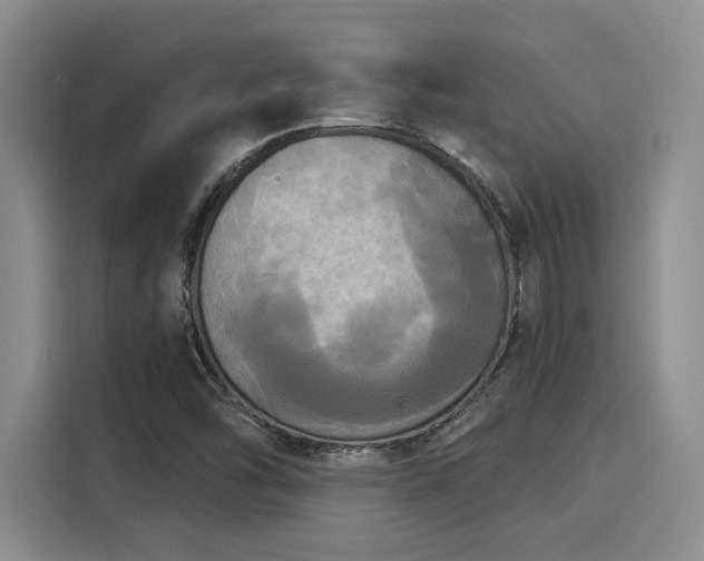 X0000116031454200911271126