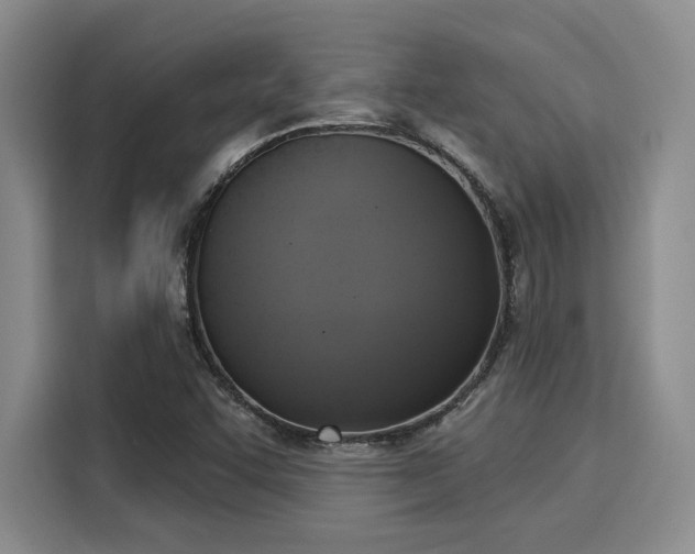 X0000116031455200911271126