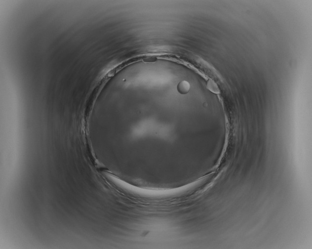 X0000116031457200911271126