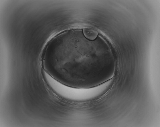 X0000116031459200911271126