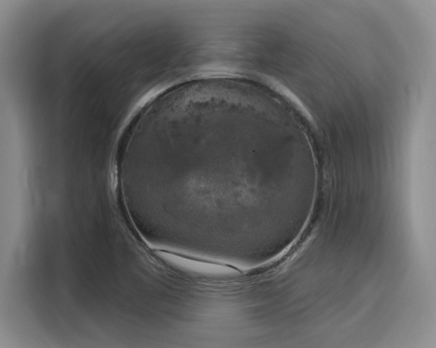 X0000116031461200911271126