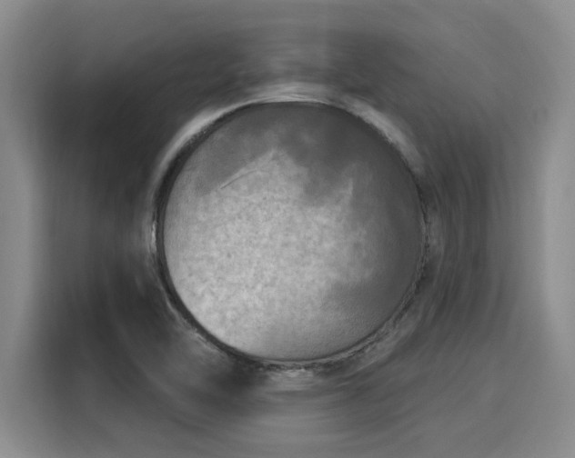 X0000116031462200911271126