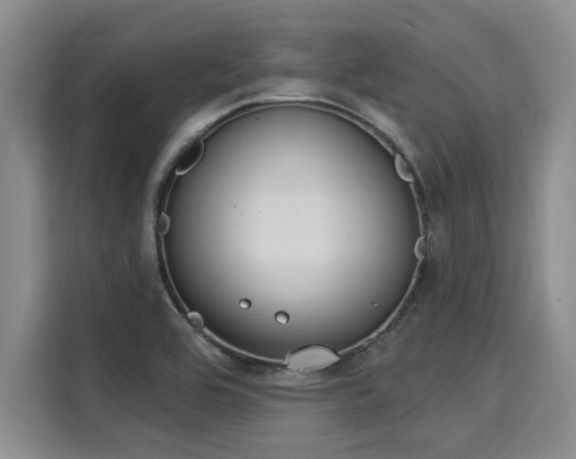X0000116031464200911271126