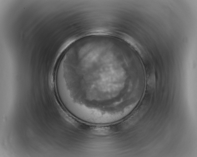 X0000116031466200911271126
