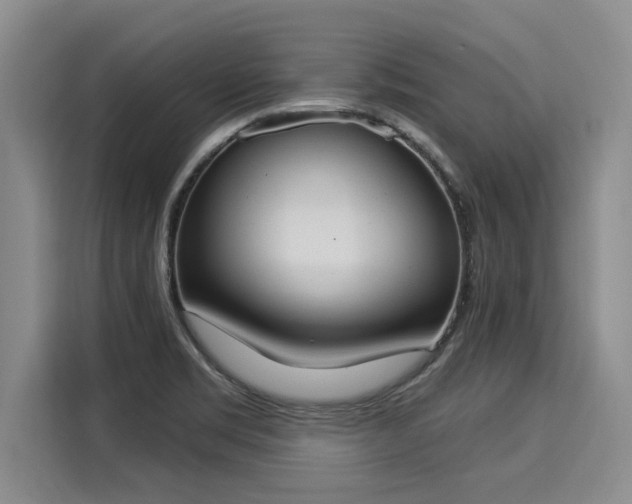 X0000116031469200911271126